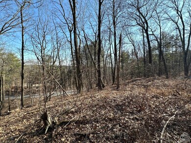 0 Buttermilk Falls Rd unit 156376, Catskill, NY 12414 - photo 7