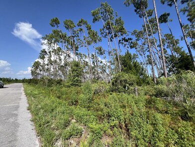 EDGE OF ROAD FOR LOT 25