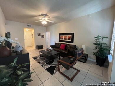 6160 Eckhert Rd unit 1721, San Antonio, TX 78240 - photo 3