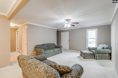 344 Cockspur Rd, Irmo, SC 29063 - photo 6