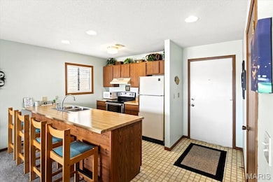 40 Robinwood Dr unit 2C, Lake Ozark, MO 65049 - photo 5