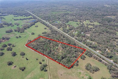 TBD S Us 301, Webster, FL 33597 - photo 7