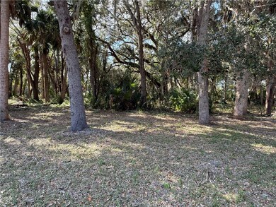 Lot has some clearing