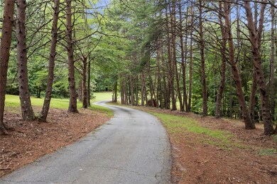 646 Flat Shoals Rd, Walhalla, SC 29691 - photo 5