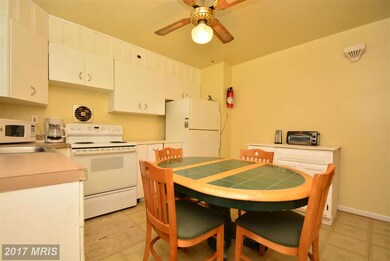 5802 Carter Ave, Baltimore, MD 21214 - photo 5