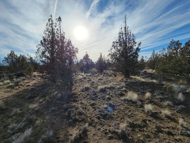Resized_20220114_130835