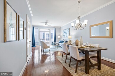 3459 Kemper Rd, Arlington, VA 22206 - photo 7