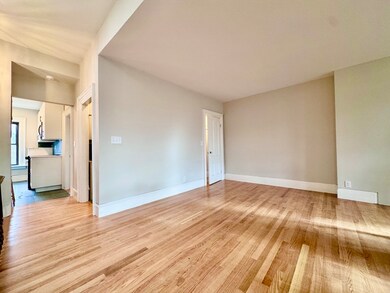 169 W Brookline St unit PH, Boston, MA 02118 - photo 3