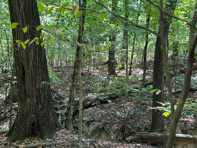 IMG_1420
