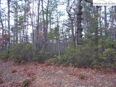 Tbd Roaring Ridge Rd, Deep Gap, NC 28618 - photo 2