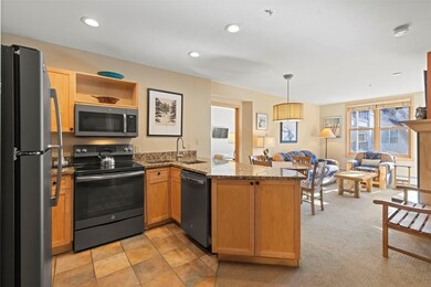 Silvermill Condominiums unit 8181, Dillon, CO 80435 - photo 5