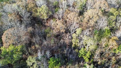 Tract B Lee Road 345, Salem, AL 36874 - photo 7