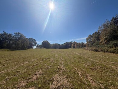 0 Cr7, Myrtle, MS 38650 - photo 4