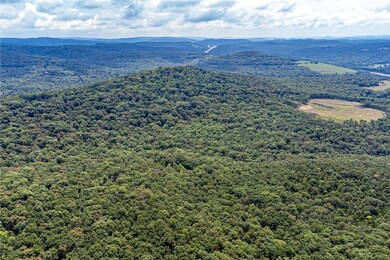 16507 Carpenter Rd, Winslow, AR 72959 - photo 4