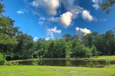 165 Tom Jones Rd, Lucedale, MS 39452 - photo 3