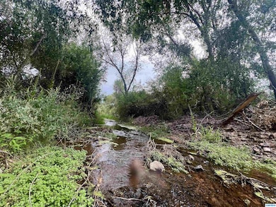 5 Chestnut St unit TRACT 1A & 1B, Mimbres, NM 88049 - photo 6