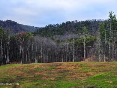 Creek Rd, Reliance 2