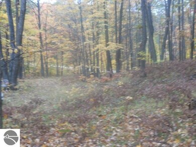 1733 Richard Dr, West Branch, MI 48661 - photo 6