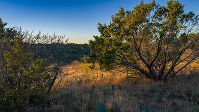 917 Bear Springs Rd, Mason, TX 76856 - photo 5
