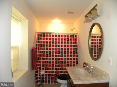 19680 Evergreen Mills Rd unit BASEMENT, Leesburg, VA 20175 - photo 7