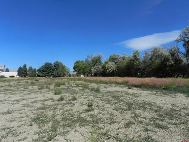 TBD Montrose Dr Site C, Montrose, CO 81401 - photo 5