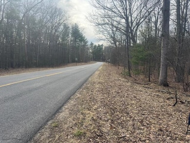 0 E Meinert Rd, Brunswick, MI 49425 - photo 5