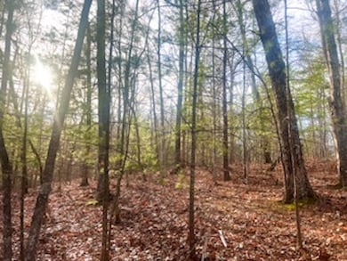 0 Maegans Dr unit LotWP001 23098892, Murphy, NC 28906 - photo 2