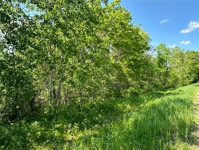TBD 140th Street St, Amery, WI 54001 - photo 3
