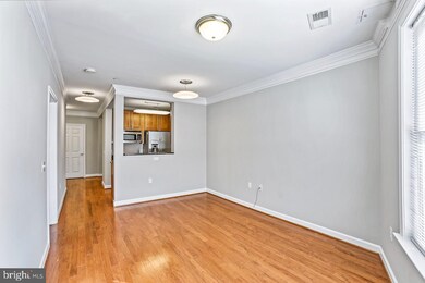 Dominion Heights unit 218, Arlington, VA 22207 - photo 5