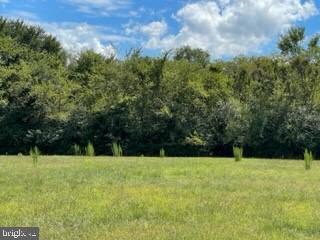 Lot # 22 Bi-State Blvd, Laurel, DE 19956 - photo 4