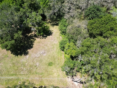 0 Elm St unit MFRTB8331367, Safety Harbor, FL 34695 - photo 3