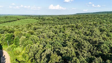 0 SE Rd unit 10123332, Bradford, AR 72020 - photo 3