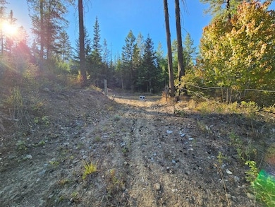 25XX Burgess Rd unit Parcel A, Addy, WA 99101 - photo 3