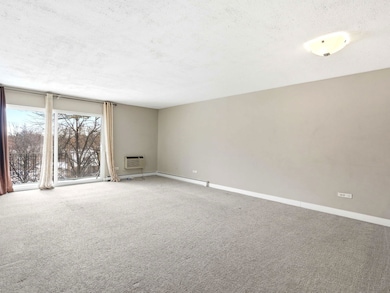 250 Ridge Ave unit 4H, Evanston, IL 60202 - photo 3