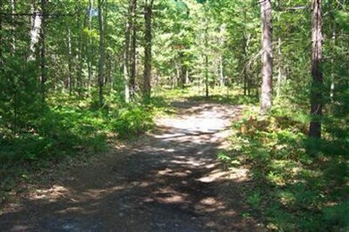 1791 W 17 Mile Rd, Lilley Township, MI 49309 - photo 4