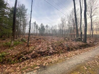 image11