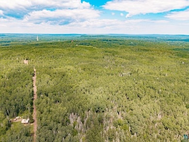 X Stanley Rd, Lake No. 2, MN 55616 - photo 2