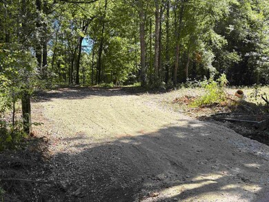 0 Bethuel Rd unit 15, Unincorporated, TN 38053 - photo 2