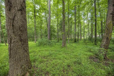 2624 Old Graham Rd, Pittsboro, NC 27312 - photo 2