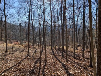 Lots 24,25 Blossom Rd, Lackawaxen Township, PA 18435 - photo 7