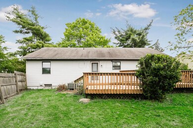 C - 2896 Scotch Pine 093