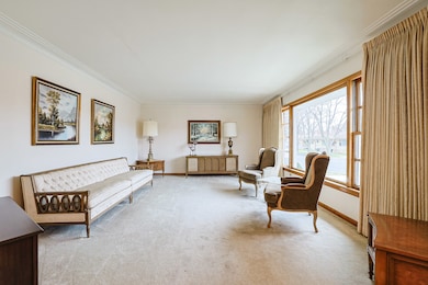 5556 S Tripp Ave, Chicago, IL 60629 - photo 5