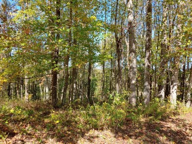 1014191136_HDR