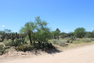 Pic 5