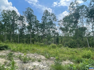 0 Passante Sr Ln unit 10 68 666509, Gordonsville, VA 22942 - photo 2