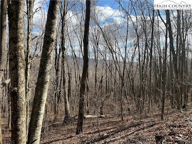 7 Woodfern Way, Todd, NC 28684 - photo 7