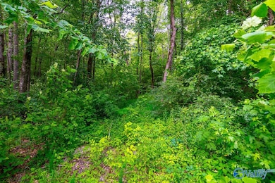 Bobo Section Bobo Section Rd, Hazel Green, AL 35750 - photo 3