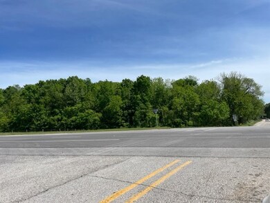 0 Hwy 412 & Robinson Rd unit 1275397, Siloam Springs, AR 72761 - photo 6