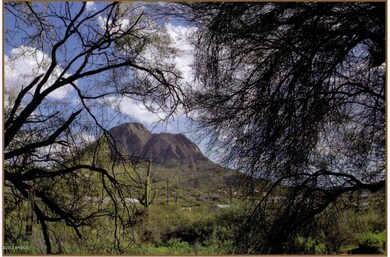 Mountain View from Patio