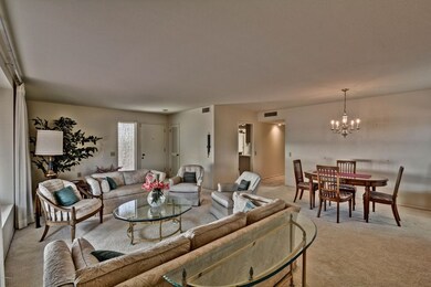 Living and Dining Area